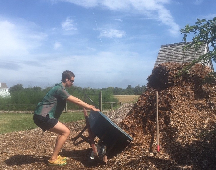 Wheelbarrow exercise