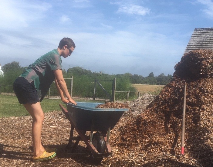 Wheelbarrow exercise 2